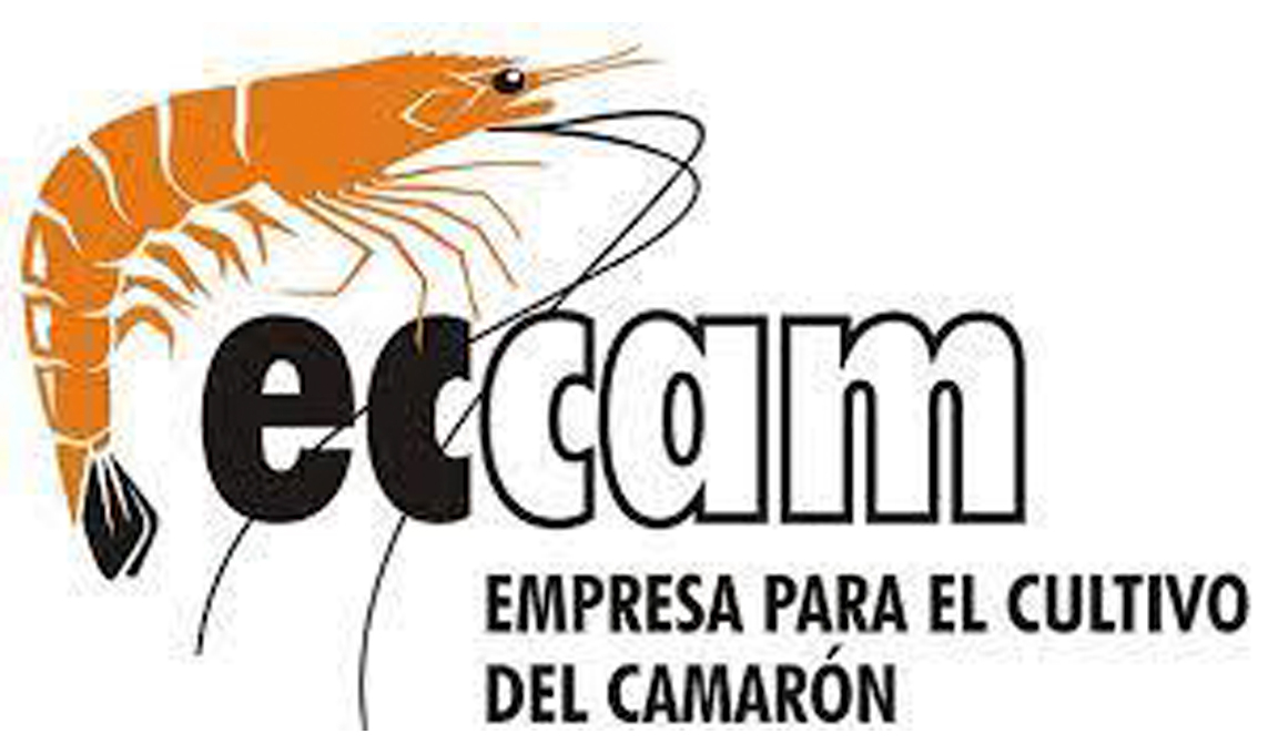 ECCAM